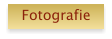 Fotografie